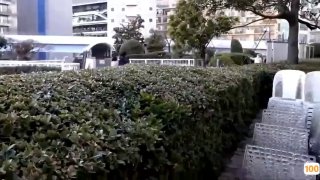 国产亚洲精品不卡视频